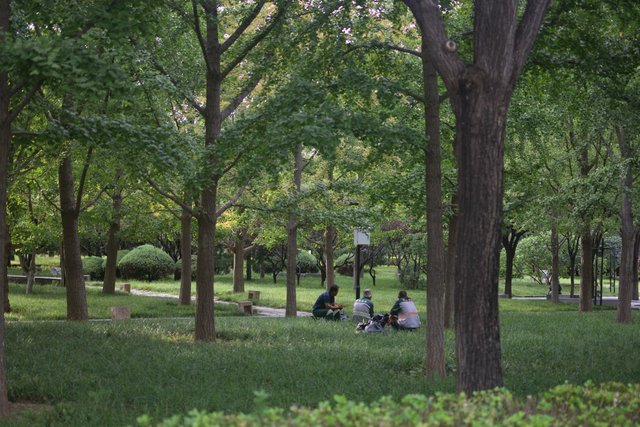 DSC_0003.JPG