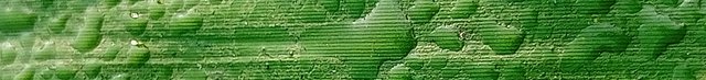 IMG20211124083029_01~2.jpg