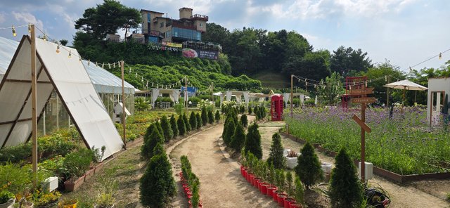 KakaoTalk_20240811_190945103_24.jpg