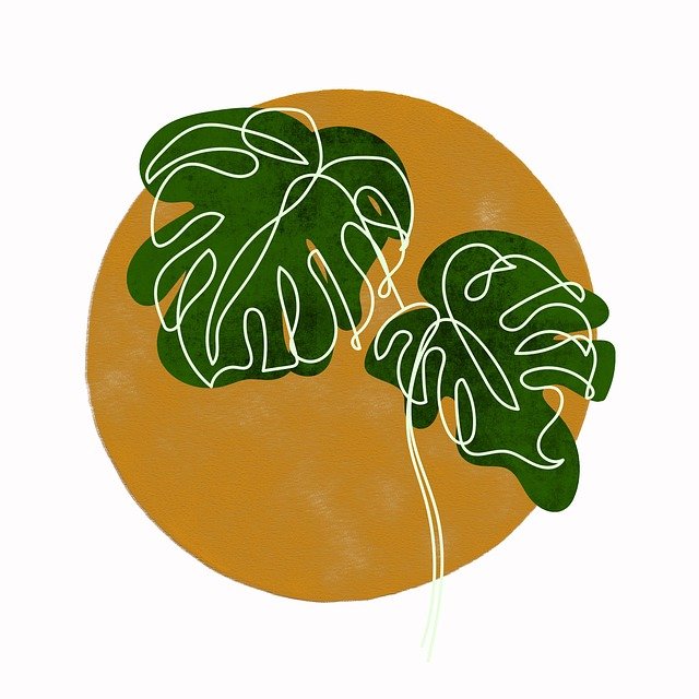 monstera-7378842_640.jpg