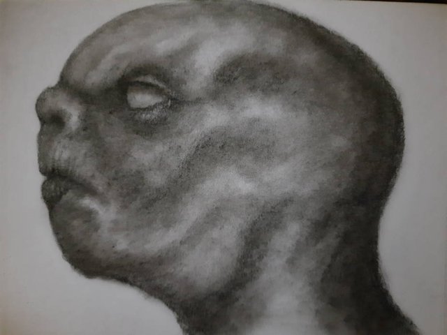 20251013_111853.jpg