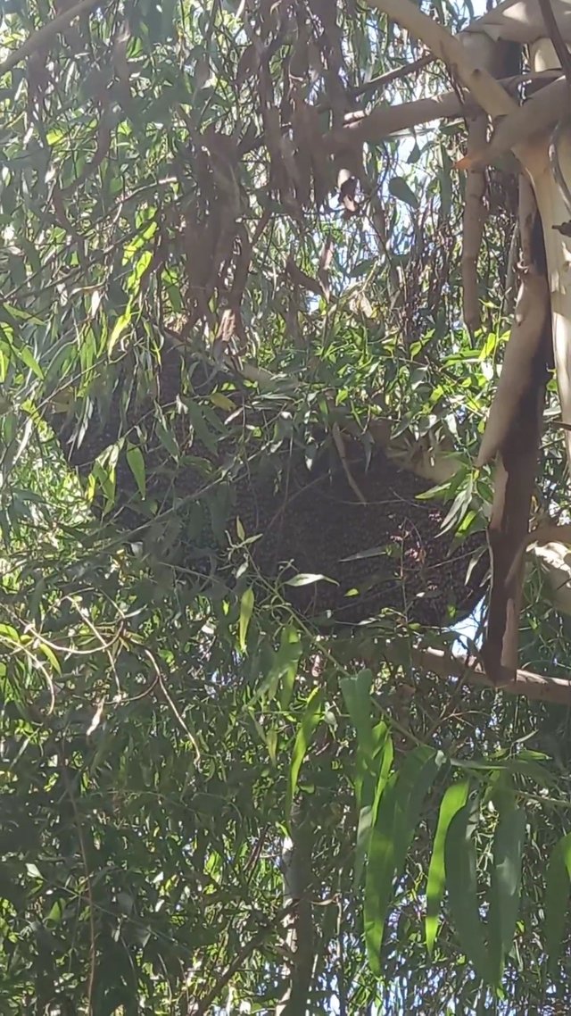 VideoCapture_20250422-195626.jpg