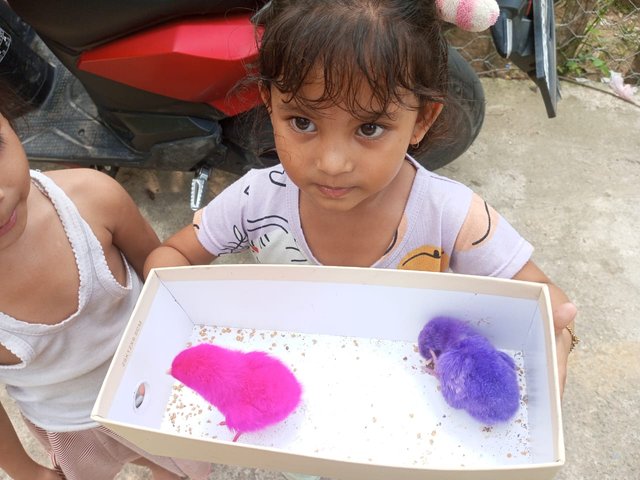 IMG-20250629180019.jpg