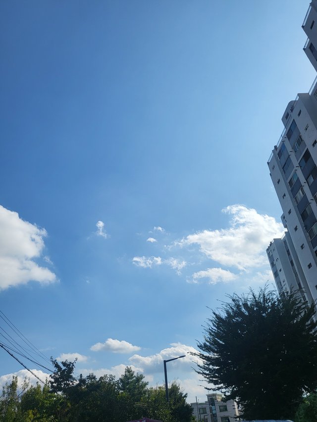 1000020810.jpg