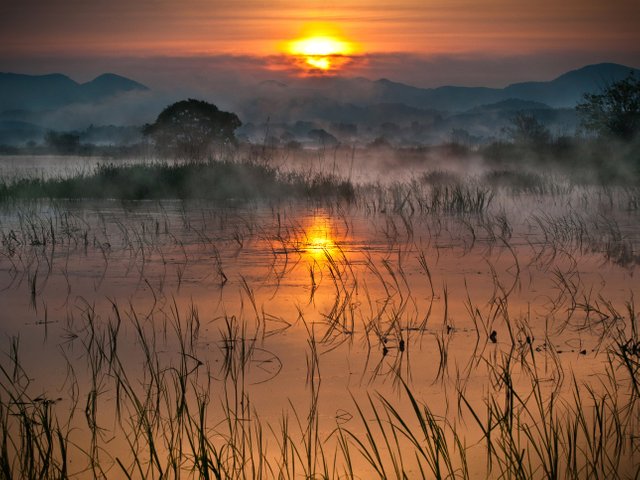 Upo-Wetland-GettyImages-150929511.jpg