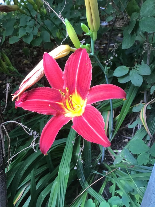 IMG_0465.jpeg