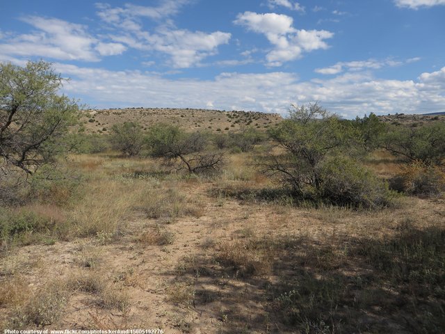 New Mexico Desert-091516.jpg