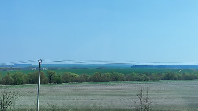 IMG_20250420_132841.jpg
