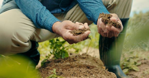 closeup-shot-of-an-unrecognisable-man-holding-soil-in-his-hands-while-working-on-a-farm.jpg