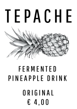 tepache-original.png