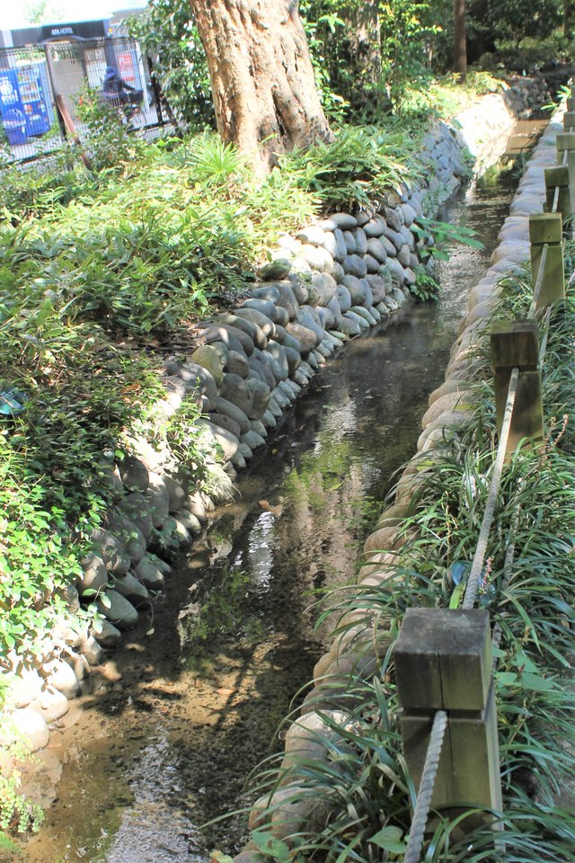 玉川上水散歩道05.JPG