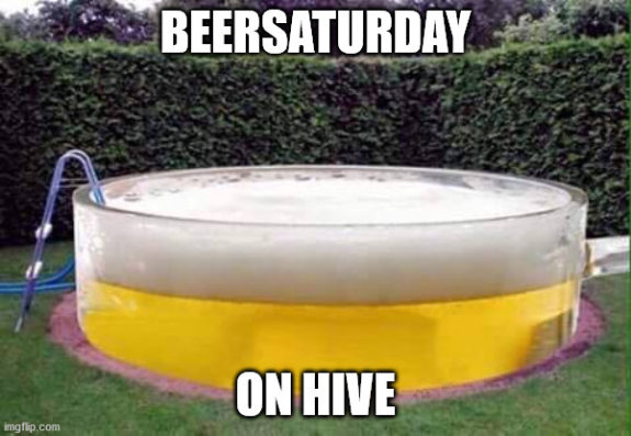 Screenshot_2020-04-11 beer pool Meme Generator - Imgflip.png