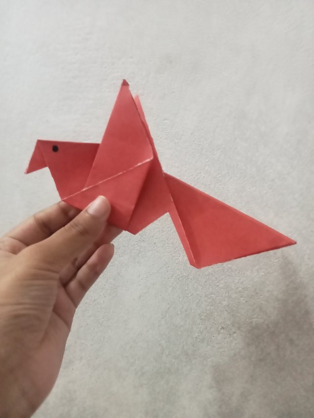 1000031576.jpg