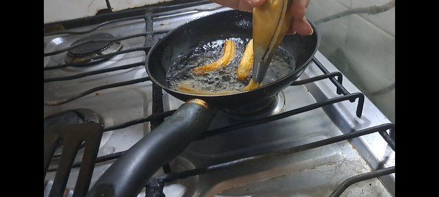 1000400659.jpg