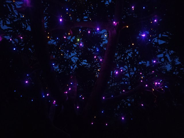 1000009631.jpg