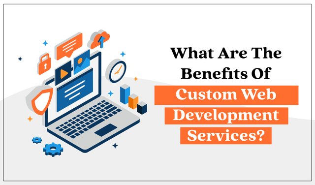 What are the benefits of custom web development services-01.jpg