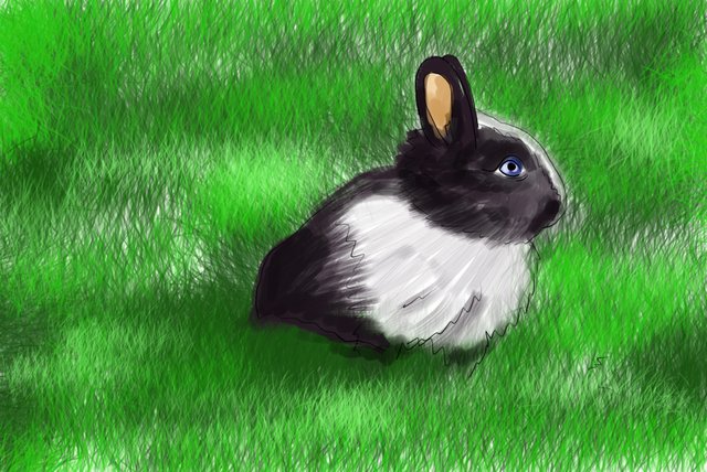 rabbit(463).jpg