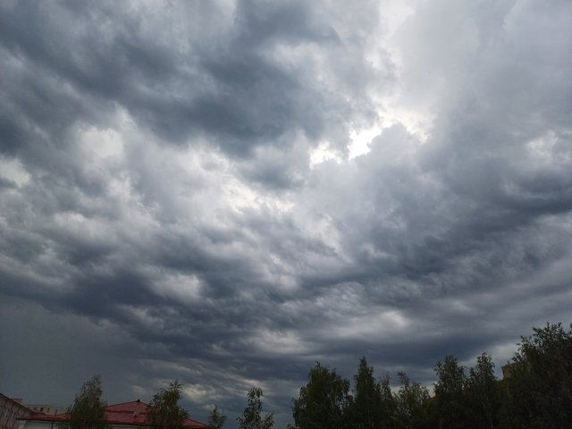 20250705_080358.jpg