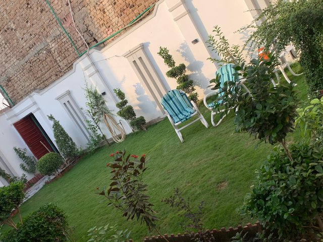 garden.jpg