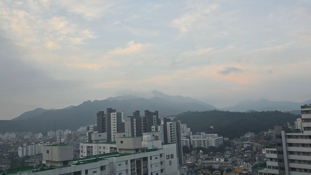 1000140955.jpg