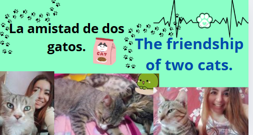 o y l.PNG