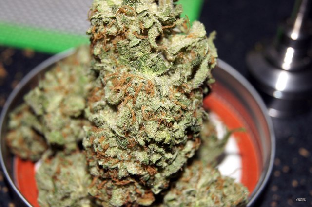 Large Nugs on a lid top.jpg