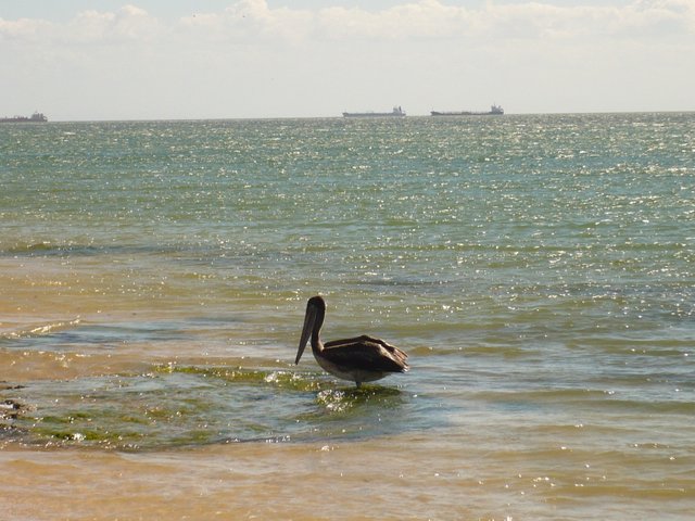 Vacaciones en PntoFijo (82).jpg