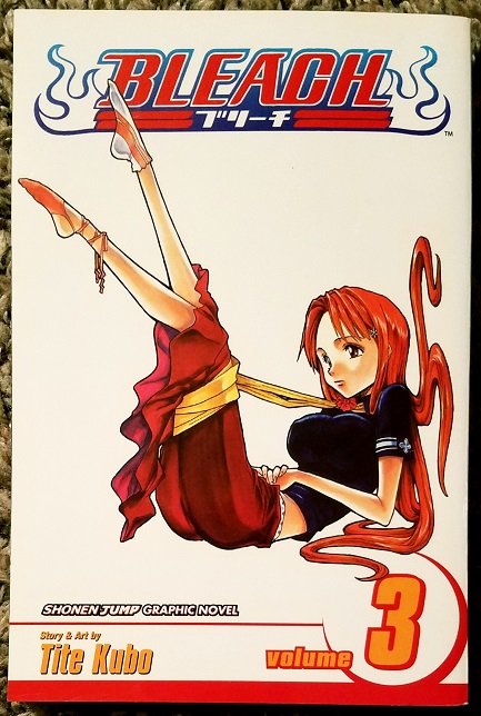 bleach vol 3 - (peg).jpg