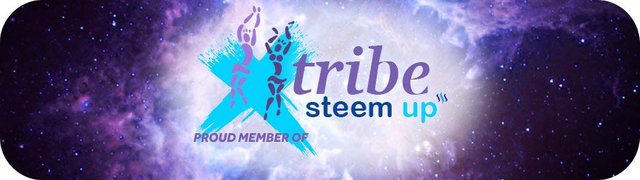 tribe-steemup-member-banner2.jpg