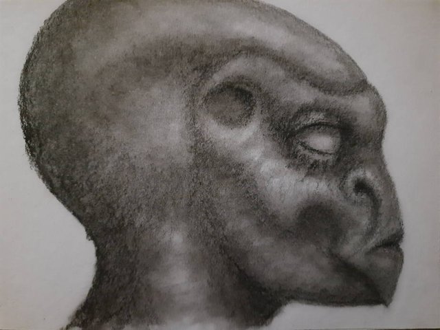 20250528_111822.jpg