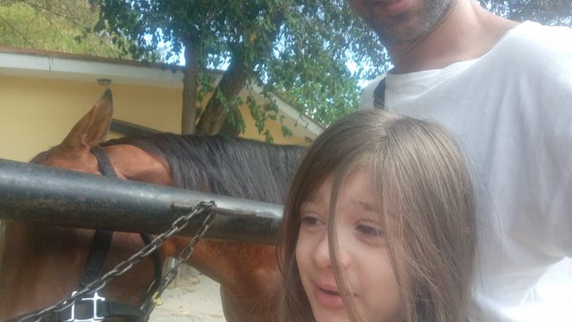 caballo peñalver.jpeg