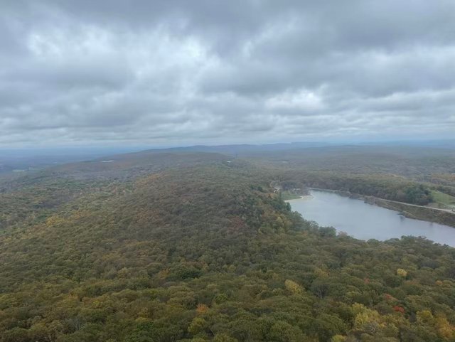 41d735bbd4c40b9dfe14