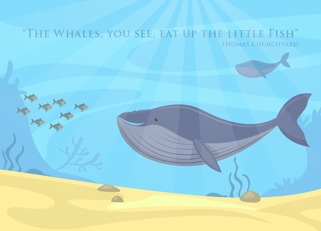 whales-02.png