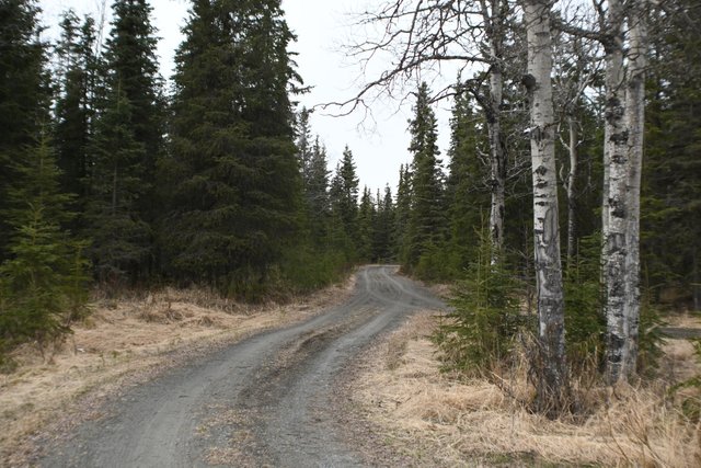 driveway long view.jpg