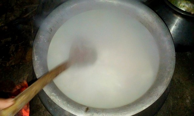 Polish_20201222_110931621.jpg