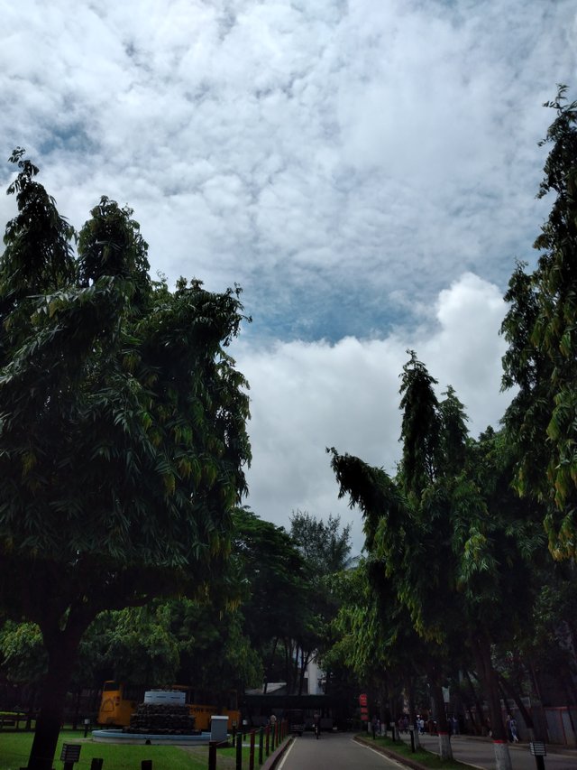 20250626_105548.jpg