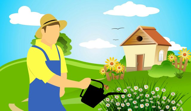 farmer-equipment-garden-gardening-green-home-1461107-pxhere.com.jpg