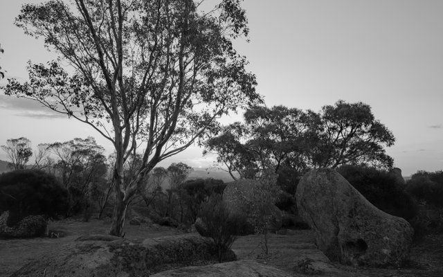 20250508_173400.jpg