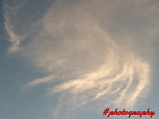 FotoGrid_20250809_195324365.jpg