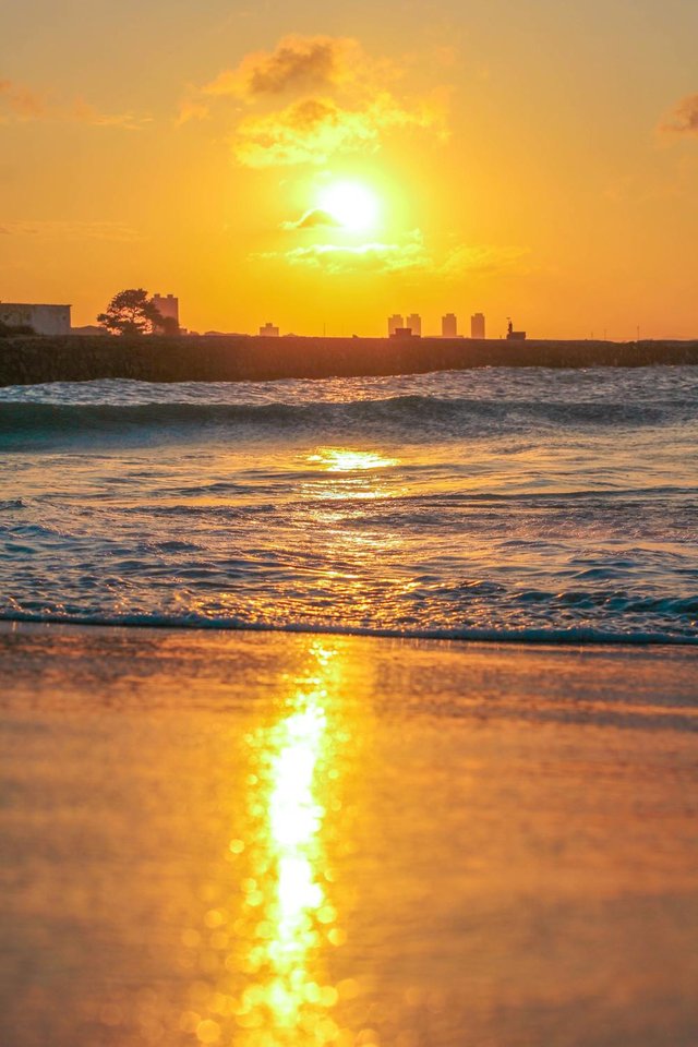 free-photo-of-beautiful-golden-sunset-over-calm-ocean-horizon.jpeg