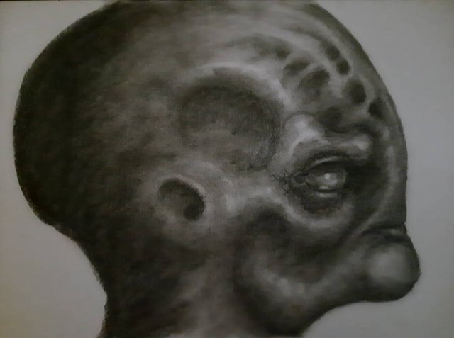 20250614_110312.jpg
