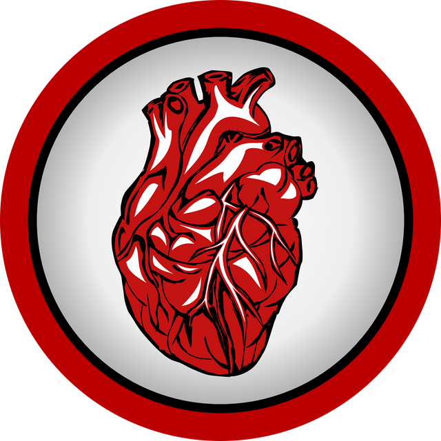 heart-ge50c4c29a_1280.png