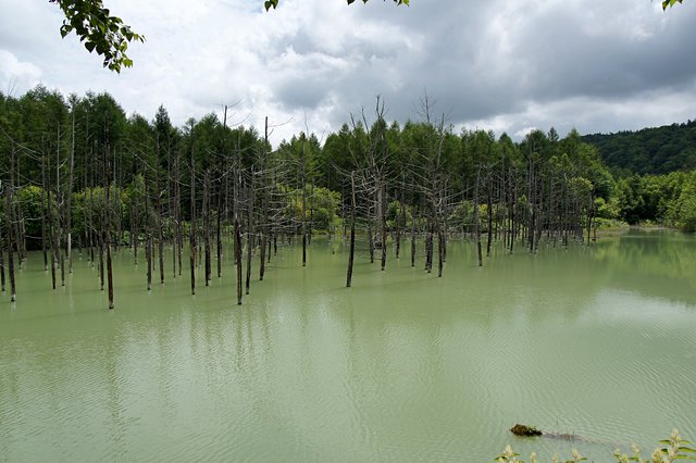 Japan-Hokkaido12802-251.jpg