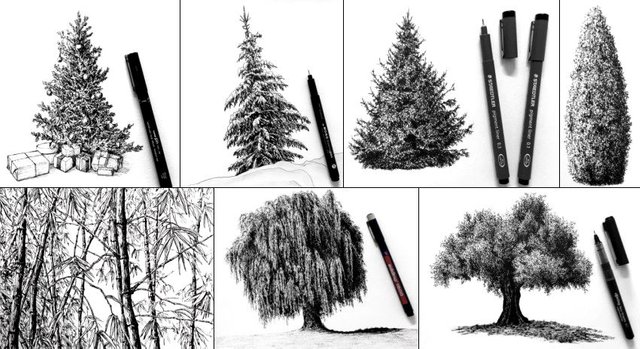 tree-drawings-with-pen.jpg