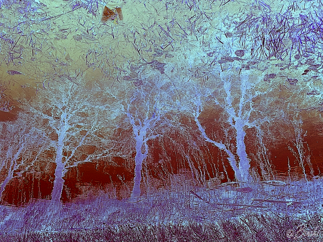 1wertPHOTO_20190228_090239.png