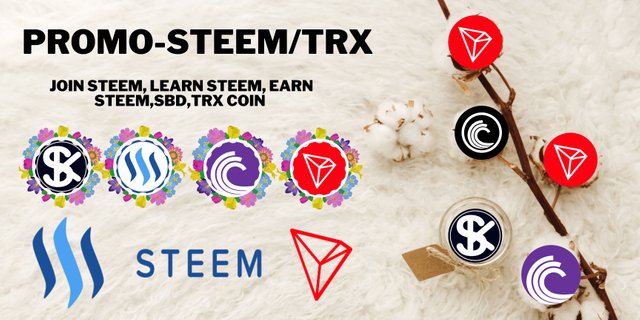 promo steem(485).jpg