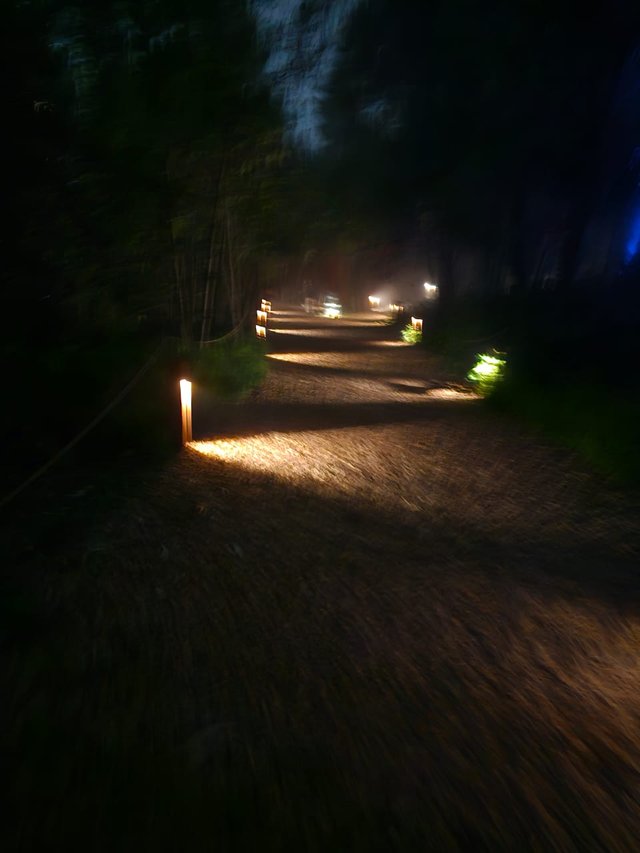 1000745281.jpg