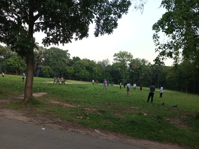 IMG_20240531_181603_494.jpg
