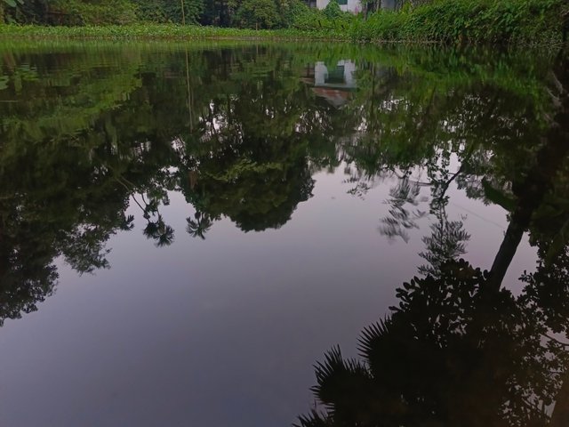 1000106449.jpg