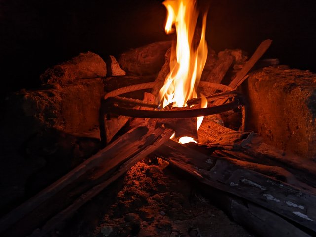 1000910331.jpg